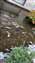 IMG_20220121_133733270_MP.jpg