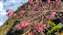 IMG_20220121_164307557.jpg