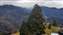 IMG_20220122_113747648.jpg