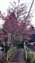 IMG_20220122_123000368.jpg
