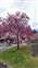 IMG_20220122_130511042.jpg