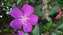 IMG_20220929_174042349.jpg