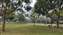 IMG_20221023_140334645.jpg