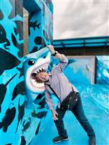 Click for large image