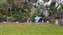 IMG_20221031_152927665.jpg