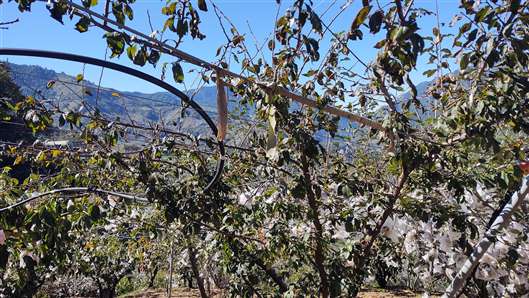Click for large image