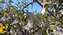 IMG_20221128_110504050.jpg