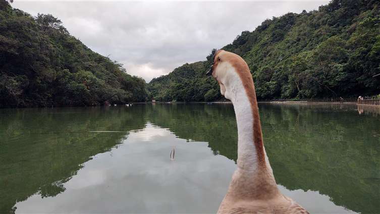 Click to go back