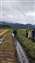 IMG_20221207_093803266.jpg