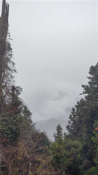 Click to go back