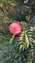 IMG_20230114_104748467.jpg