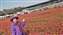 IMG_20230128_141859524_BURST000_COVER_TOP.jpg