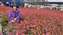 IMG_20230128_143153641_BURST000_COVER_TOP.jpg