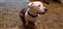 IMG_20230314_194530027.jpg