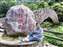LINE_ALBUM_2023.5.6_230514-15.jpg