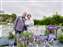 LINE_ALBUM_2023.5.9_230514-53.jpg