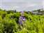 LINE_ALBUM_2023.5.9_230514-58.jpg