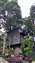 IMG_20230523_145643851.jpg