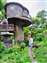 LINE_ALBUM_2023.5.23_230524-1.jpg