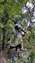 IMG_20230527_133234488.jpg