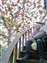 LINE_ALBUM_2023.5.27_230529-19.jpg
