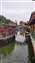 IMG_20230617_104727330.jpg
