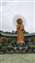 IMG_20230617_110703204.jpg