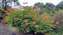 IMG_20230617_144232671.jpg