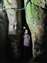 LINE_ALBUM_2023712_230713-5.jpg