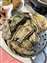 S__9519199.jpg