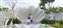 LINE_ALBUM_蓋亞 0811_230811_24.jpg