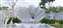 LINE_ALBUM_蓋亞 0811_230811_25.jpg