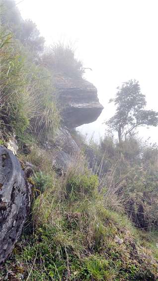 Click to go back