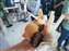 LINE_ALBUM_231022_4.jpg