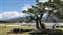 IMG_20231031_113001825.jpg