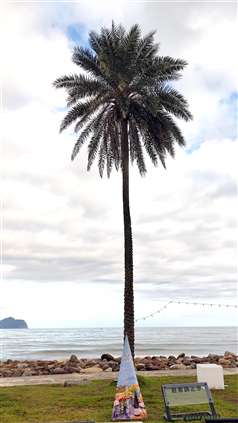 Click for large image