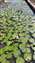 IMG_20231103_094149942.jpg