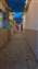 20230324_064816.jpg