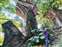 LINE_ALBUM_20231226_231227_9.jpg
