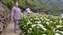 IMG_20230412_100721025_BURST001.jpg