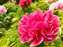 LINE_ALBUM_2023.4.17_230419-4.jpg