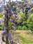 LINE_ALBUM_2023.4.17_230419-5.jpg