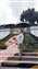 IMG_20240416_103755753.jpg