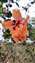 IMG_20240416_152235974.jpg