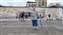 IMG_20240426_165845883.jpg