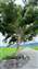 LINE_ALBUM_202452_240504_2.jpg
