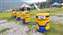 IMG_20240606_113143330.jpg