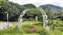 IMG_20240607_093832310白羽岸.jpg
