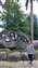 IMG_20240619_153956724.jpg