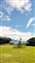IMG_20240620_095609150.jpg